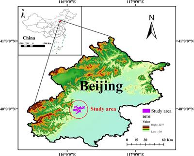 Combined effects of mixing ratios and tree size: how do mixed forests respond to climate and drought events?